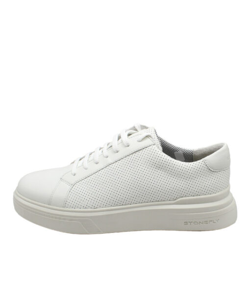 Alternative view of Stonefly (222674-010)-WHITE