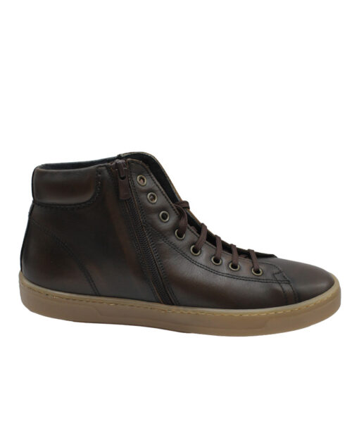 Alternative view of ROBINSON (59312)-BROWN