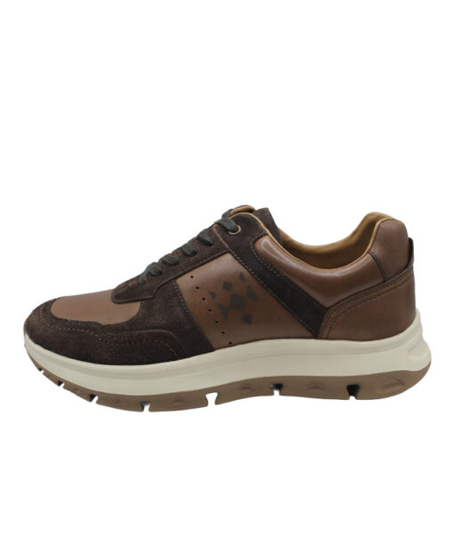 Alternative view of ROBINSON (77531)-BROWN